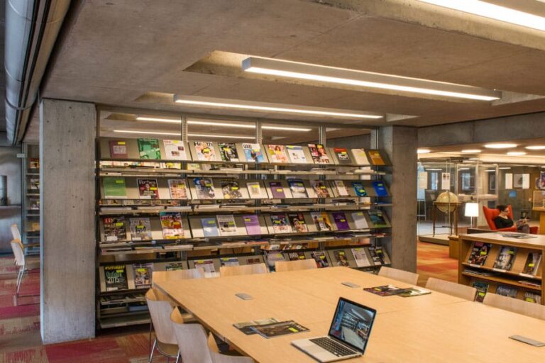 The Influence of Light on Human Health and Well-Being