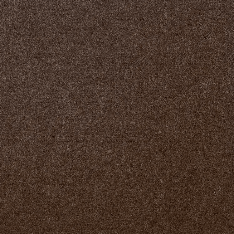 Chocolate color sample