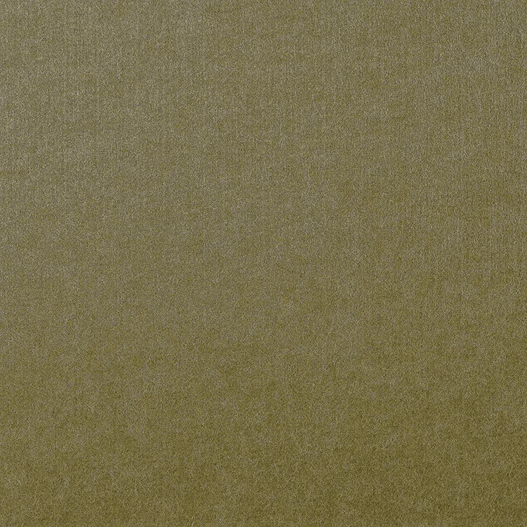 Olive color sample